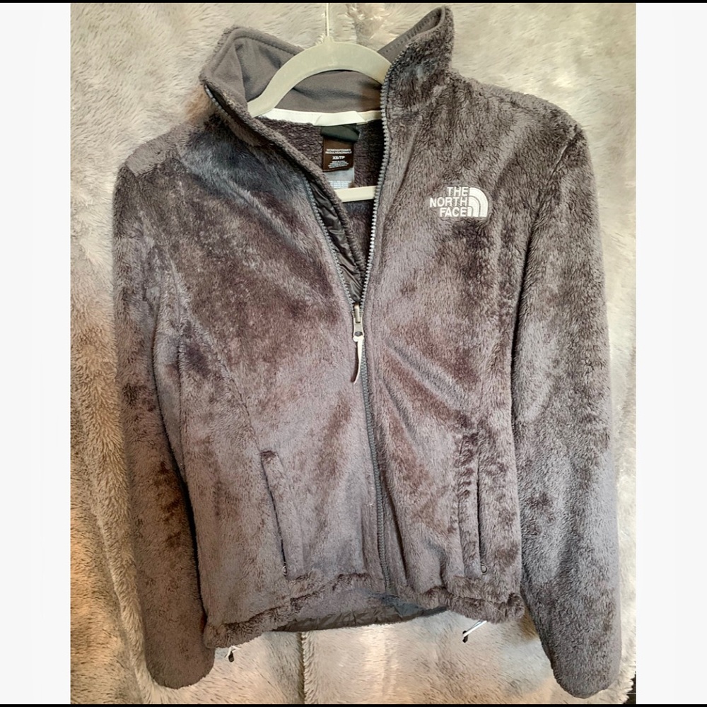 Gray Furry North Face